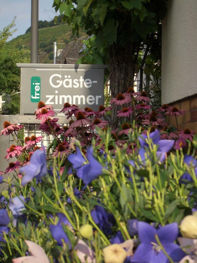 Gaestehaus Weberskirch 恩斯特 外观 照片